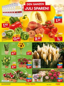 Paprika im aktuellen Netto Marken-Discount Prospekt (Gelsenkirchen) Paprika im Netto Marken-Discount Prospekt "Aktuelle Angebote" mit 53 Seiten (Gelsenkirchen)