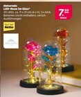 LED-Rose im Glas von dekorado im aktuellen Netto mit dem Scottie Prospekt für 7,99 €