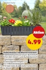 Balkonkasten mit Wasserreservoir im Angebot bei Penny in Ludwigshafen Balkonkasten mit Wasserreservoir Angebote bei Penny Ludwigshafen für 4,99 €