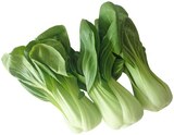 Bio Pakchoi von REWE Bio im aktuellen REWE Prospekt für 1,99 €