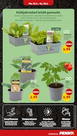 Gartenbepflanzung Angebote im Prospekt "Wer günstig will, muss Penny." von Penny auf Seite 31