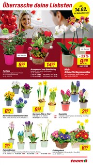 Orchidee im toom Baumarkt Prospekt "Respekt, wer's selber macht." mit 10 Seiten (Bochum)