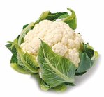NETTO mit dem Scottie - Blumenkohl Angebot im Prospekt Blumenkohl bei NETTO mit dem Scottie im Prospekt für 2,19 €