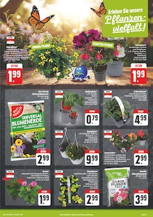 Blumenerde im EDEKA Prospekt "Wir lieben Lebensmittel!" mit 28 Seiten (Dresden)