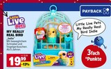 My Really Real Bird Indie Angebote von Little Live Pets bei E center Stuttgart für 19,99 €