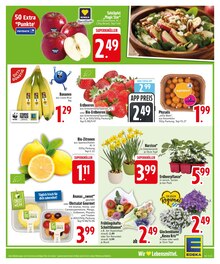 Blumen im aktuellen EDEKA Prospekt (Augsburg) Blumen im EDEKA Prospekt "Wir lieben Lebensmittel." mit 26 Seiten (Augsburg)