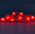 Guirlande LED Poinsettia Rouge - Botanic Guirlande LED Poinsettia Rouge à 11,99 € dans le catalogue Botanic