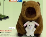 Plüsch Capybara im Angebot bei Netto Marken-Discount in Coburg Plüsch Capybara Angebote bei Netto Marken-Discount Coburg für 4,99 €