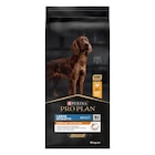 Maxi Zoo Brignoles - Promo Croquettes Adult Large Athletic Everyday Nutrition Poulet 14kg Promo Croquettes Adult Large Athletic Everyday Nutrition Poulet 14kg à 56,99 € dans le catalogue Maxi Zoo à Brignoles