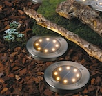 Solar-Gartenleuchten  im aktuellen Rossmann Prospekt für 5,99 €