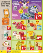 Gemüse im EDEKA Prospekt in Berlin Aktueller EDEKA Prospekt mit Gemüse, "Aktuelle Angebote", Seite 2