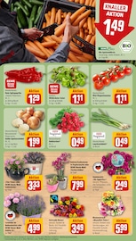 Blumen im REWE Prospekt in Peine Aktueller REWE Prospekt mit Blumen, "Dein Markt", Seite 9