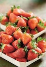 Fraise Ronde dans le catalogue Intermarché