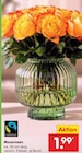 Moosrosen für 1,99 € bei Netto Marken-Discount im Angebot Moosrosen im aktuellen Netto Marken-Discount Prospekt