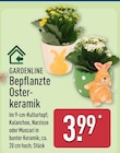 Bepflanzte Osterkeramik von Gardenline im aktuellen ALDI Nord Prospekt