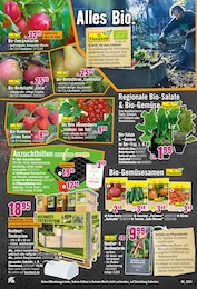 Gemüse Angebot im aktuellen Hornbach Prospekt auf Seite 16