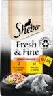 Fresh&Fine Katzennahrung von Sheba im aktuellen budni Prospekt für 2,19 €