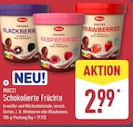 Frozen Blackberries bei ALDI Nord im St. Michaelisdonn Prospekt für 2,99 €