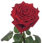 Promo Rose unitaire variété red naomi à 4,50 € dans le catalogue Carrefour à Forbach