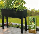 Aktuelles Hochbeetpflanzer Angebot bei Netto mit dem Scottie in Rostock ab 2,99 €