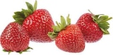 EDEKA Dülmen - Erdbeeren Angebot im Prospekt Erdbeeren bei EDEKA im Dülmen Prospekt für 2,99 €