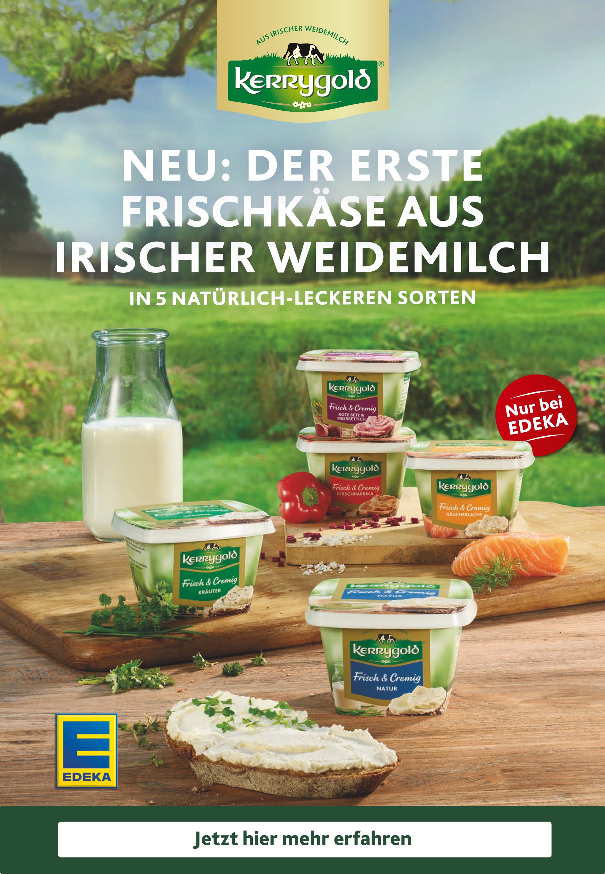 Edeka Rheine Aktuelle Angebote Im Prospekt Der Woche