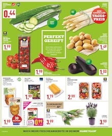 Spargel im Marktkauf Prospekt "Aktuelle Angebote" mit 20 Seiten (Bielefeld)