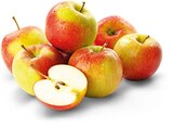 Aktuelle Äpfel Angebote bei Penny in Krefeld Aktuelles Deutsche rote Äpfel Angebot bei Penny in Krefeld ab 1,79 €