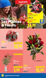Offre Aménagement Extérieur dans le catalogue Lidl du moment à la page 30