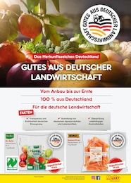 Apfel Angebot im aktuellen Netto Marken-Discount Prospekt auf Seite 13