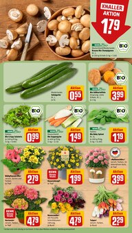 Kartoffeln im REWE Prospekt "Dein Markt" mit 20 Seiten (Kassel)