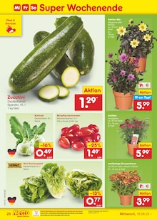 Chrysantheme im aktuellen Netto Marken-Discount Prospekt (Frankfurt (Main)) Chrysantheme im Netto Marken-Discount Prospekt "Aktuelle Angebote" mit 59 Seiten (Frankfurt (Main))