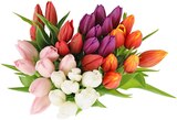 Tulpen im Angebot bei REWE in Mülheim Tulpen Angebote bei REWE Mülheim für 1,88 €