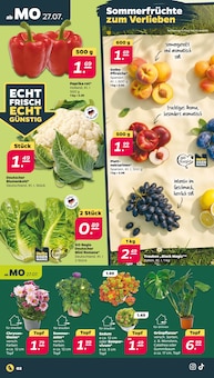 Netto mit dem Scottie Prospekt der aktuellen Woche, gĂĽltig von 27.07.2026 bis 01.08.2026 Aktueller Netto mit dem Scottie Prospekt "GĂĽnstig. Besser. FĂĽr Dich." mit 37 Seiten