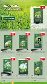 Rollrasen im Raiffeisenmarkt Prospekt in Koblenz Aktueller Raiffeisenmarkt Prospekt mit Rollrasen, "So wird draußen zum Lieblingsort.", Seite 6