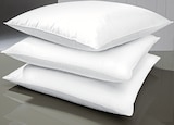 Kopfkissen 80x80 cm Angebote von Künsemüller bei porta Möbel Hildesheim für 19,99 €