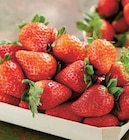 Intermarché Senlis - Promo Fraise Ronde Promo Fraise Ronde à 2,99 € dans le catalogue Intermarché à Senlis