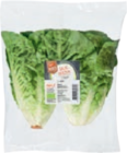 Aktuelles Bio-Salatherzen Angebot bei tegut in Frankfurt (Main) ab 1,99 €