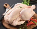 U Express Vannes - Promo Poulet fermier prêt à cuire Label Rouge IGP Promo Poulet fermier prêt à cuire Label Rouge IGP à 6,49 € dans le catalogue U Express à Vannes