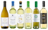 Chardonnay DOC im Angebot bei Netto Marken-Discount in Unna Chardonnay DOC Angebote von Gries bei Netto Marken-Discount Unna für 43,99 €