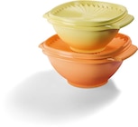 Aktuelles Schüsseln „Servalier“ Angebot bei Netto Marken-Discount in Stuttgart ab 29,99 €