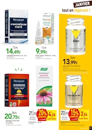 Prix et réduction Plante Vivace dans le prospectus NaturéO en cours Offre Plante Vivace dans le catalogue NaturéO du moment à la page 17