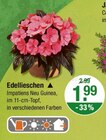Heilkräuter im V-Markt Prospekt Edellieschen im aktuellen V-Markt Prospekt für 1,99 €