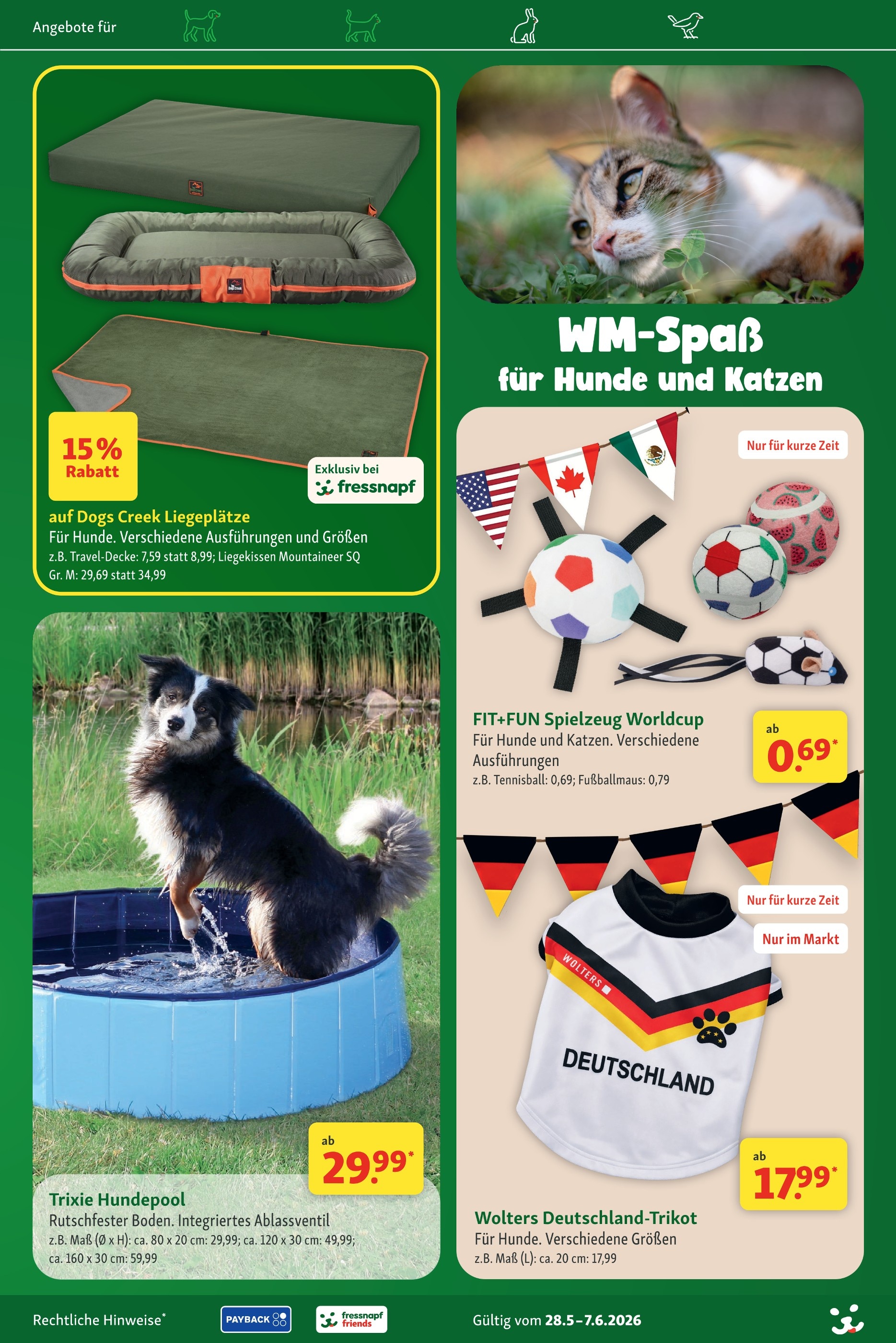 ALDI Nord Hundespielzeug: Angebote & Preise im Prospekt vergleichen!