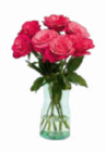 Großköpfige Hochland Rosen im Angebot bei Netto Marken-Discount in Homburg Großköpfige Hochland Rosen Angebote bei Netto Marken-Discount Homburg für 4,44 €