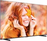 QLED Mini LED TV 98MQLED75K bei expert im Elsterwerda Prospekt für 1.699,00 €
