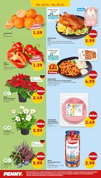 Ente Angebot & Preis im aktuellen Penny Prospekt Ente Angebot im aktuellen Penny Prospekt auf Seite 34