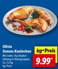 Aktuelle Kaninchen Angebote bei Lidl in Hamburg Aktuelles Ganzes Kaninchen Angebot bei Lidl in Hamburg ab 9,99 €