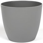 Übertopf Ella für 0,59 € bei Thomas Philipps im Angebot Übertopf Ella im aktuellen Thomas Philipps Prospekt