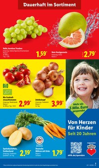 Tomaten im aktuellen Lidl Prospekt (Münster) Tomaten im Lidl Prospekt "LIDL LOHNT SICH" mit 71 Seiten (Münster)